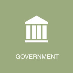 Case Studies - Government Icon