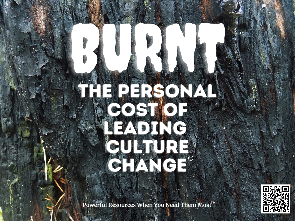 Read more about the article Burnt: The Personal Cost of Leading Culture Change