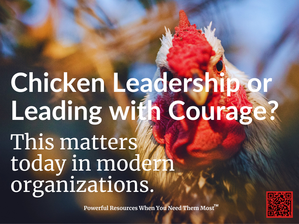 Read more about the article Chicken Leadership