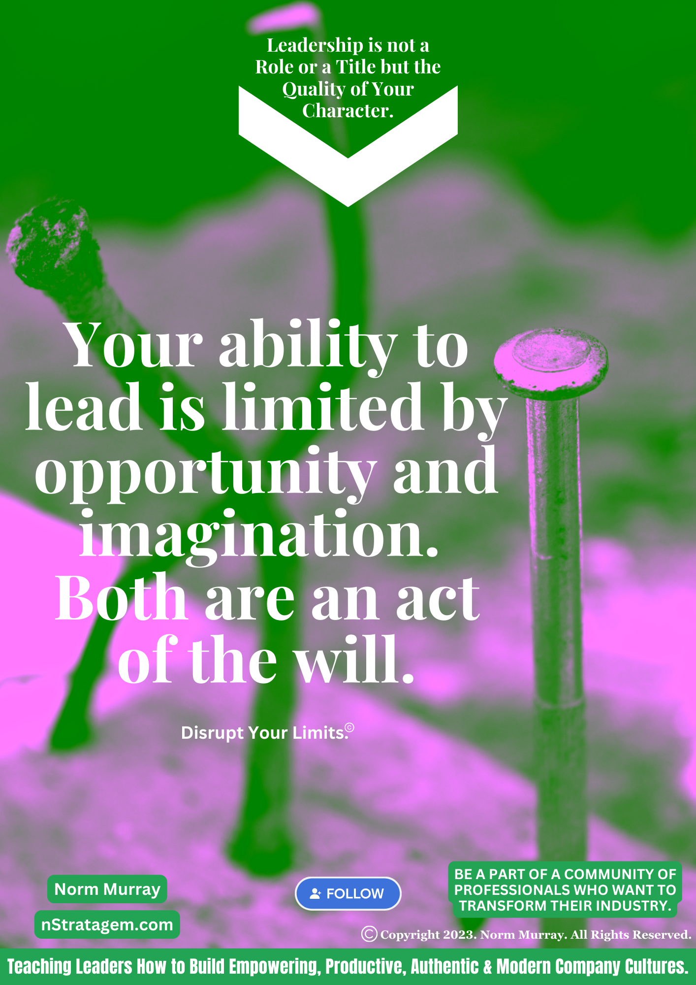 Read more about the article Leadership is an Act of the Will