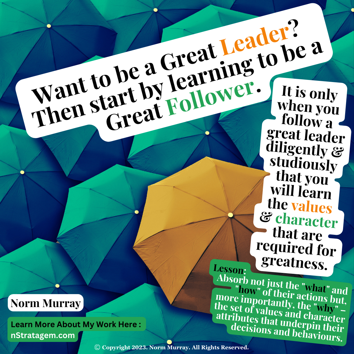 Read more about the article Want to be a Great Leader? Then start by learning to be a Great Follower.