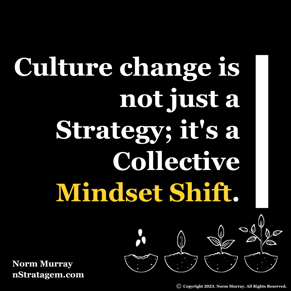 Read more about the article Culture change is not just a Strategy; it’s a Collective Mindset Shift.