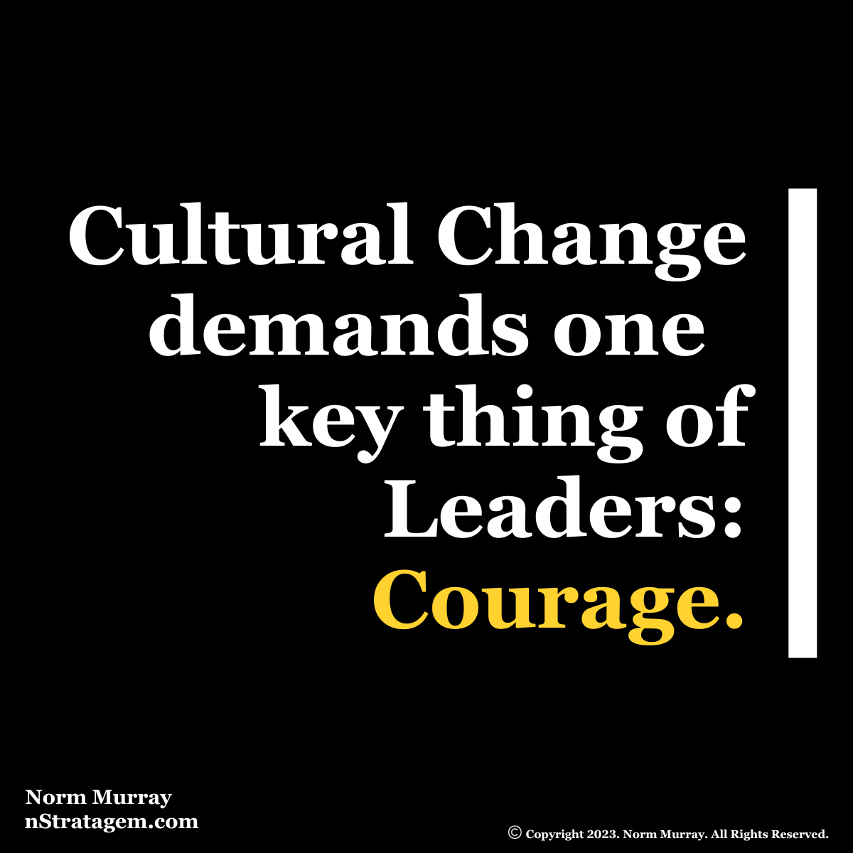 Read more about the article Culture Change demands one key thing of Leaders: Courage.