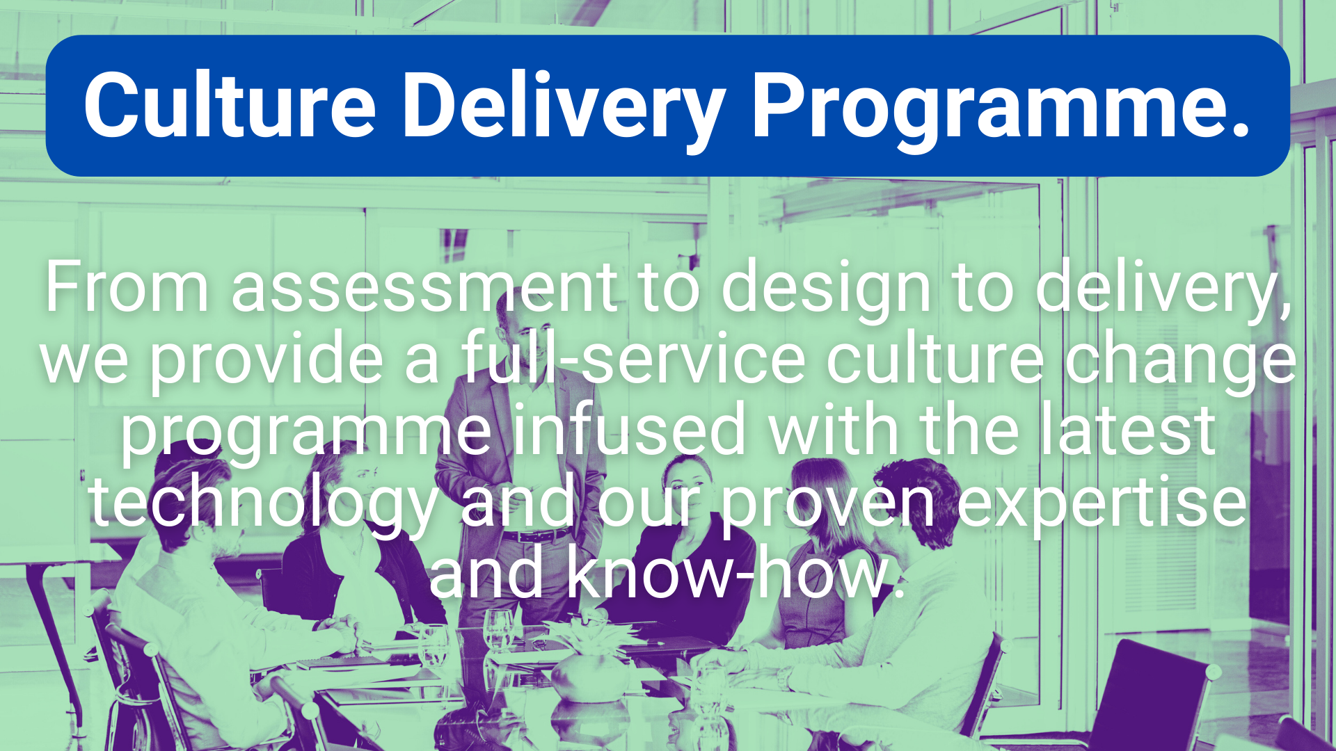 nStratagem Culture Delivery Programme